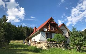 Гостьовий будинок Камінь Довбуша